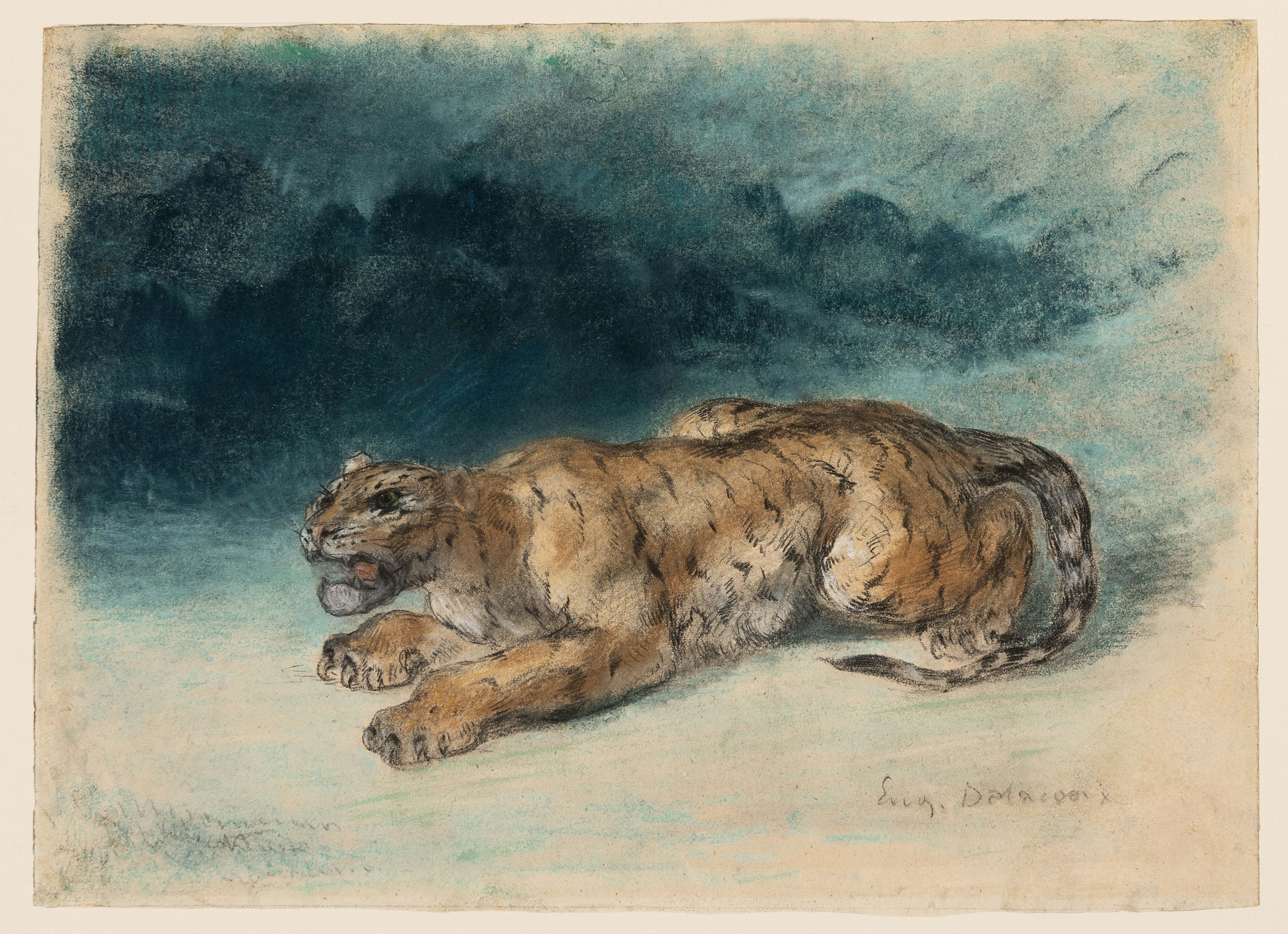 A Tiger Preparing to Pounce